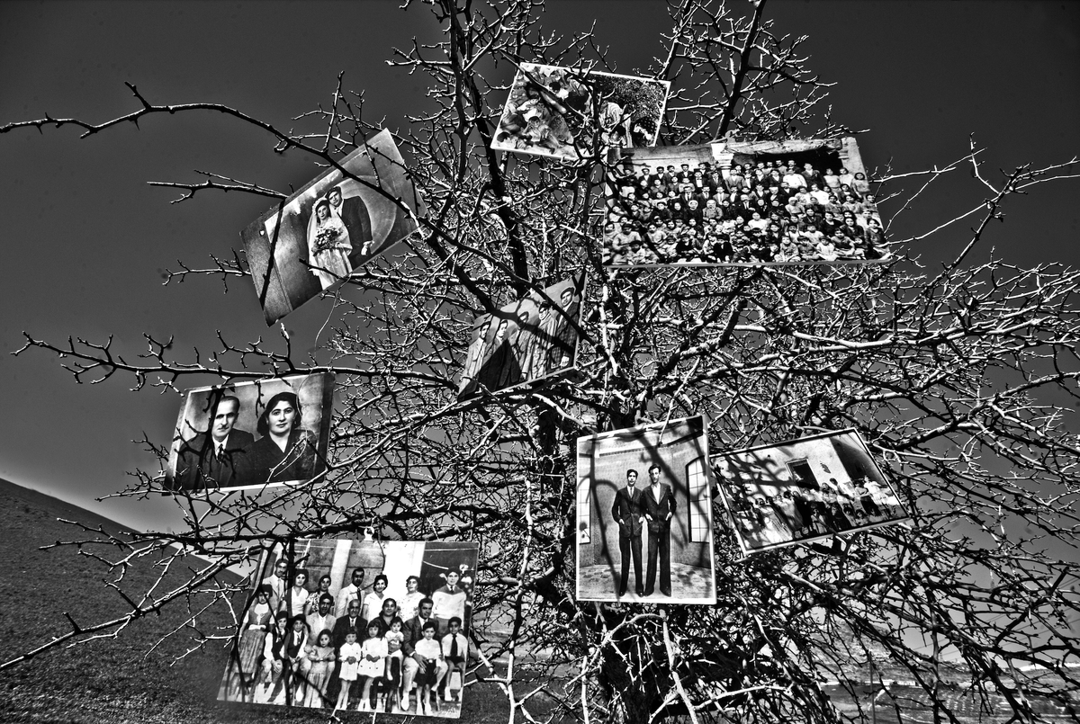 Tercil / lensler konuşabilseydi